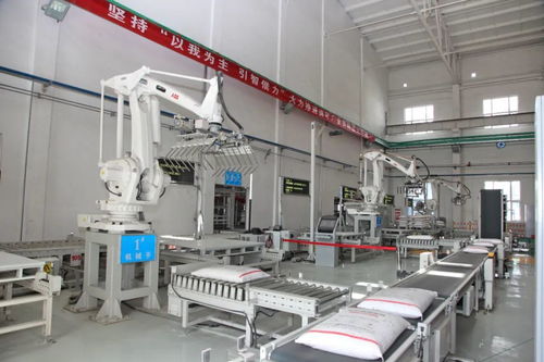 創新激活發展動能 金川集團選礦廠爭做國際一流引領者